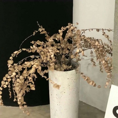 Furry数位绘画实用技巧Furry群